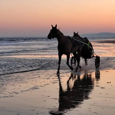 En Centre-ville De Franceville Avec Cuisine Equipee - Fr-1-788-19 * Merville-Franceville-Plage