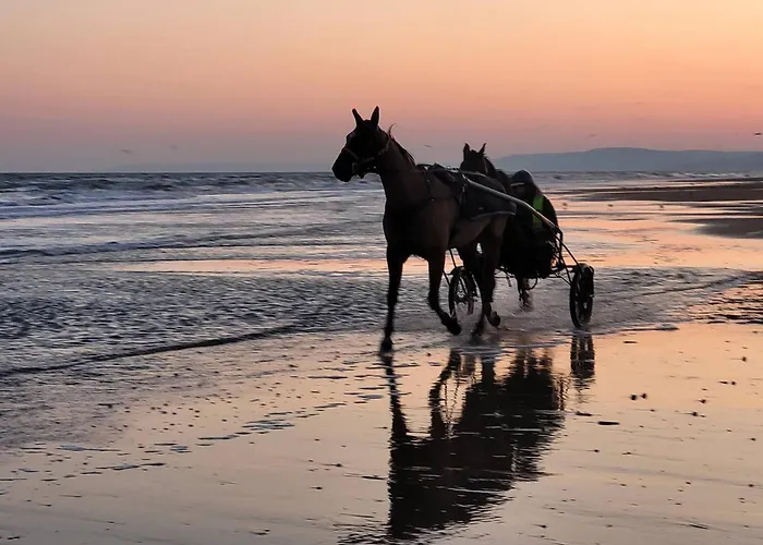 En Centre-ville De Franceville Avec Cuisine Equipee - Fr-1-788-19 * Merville-Franceville-Plage